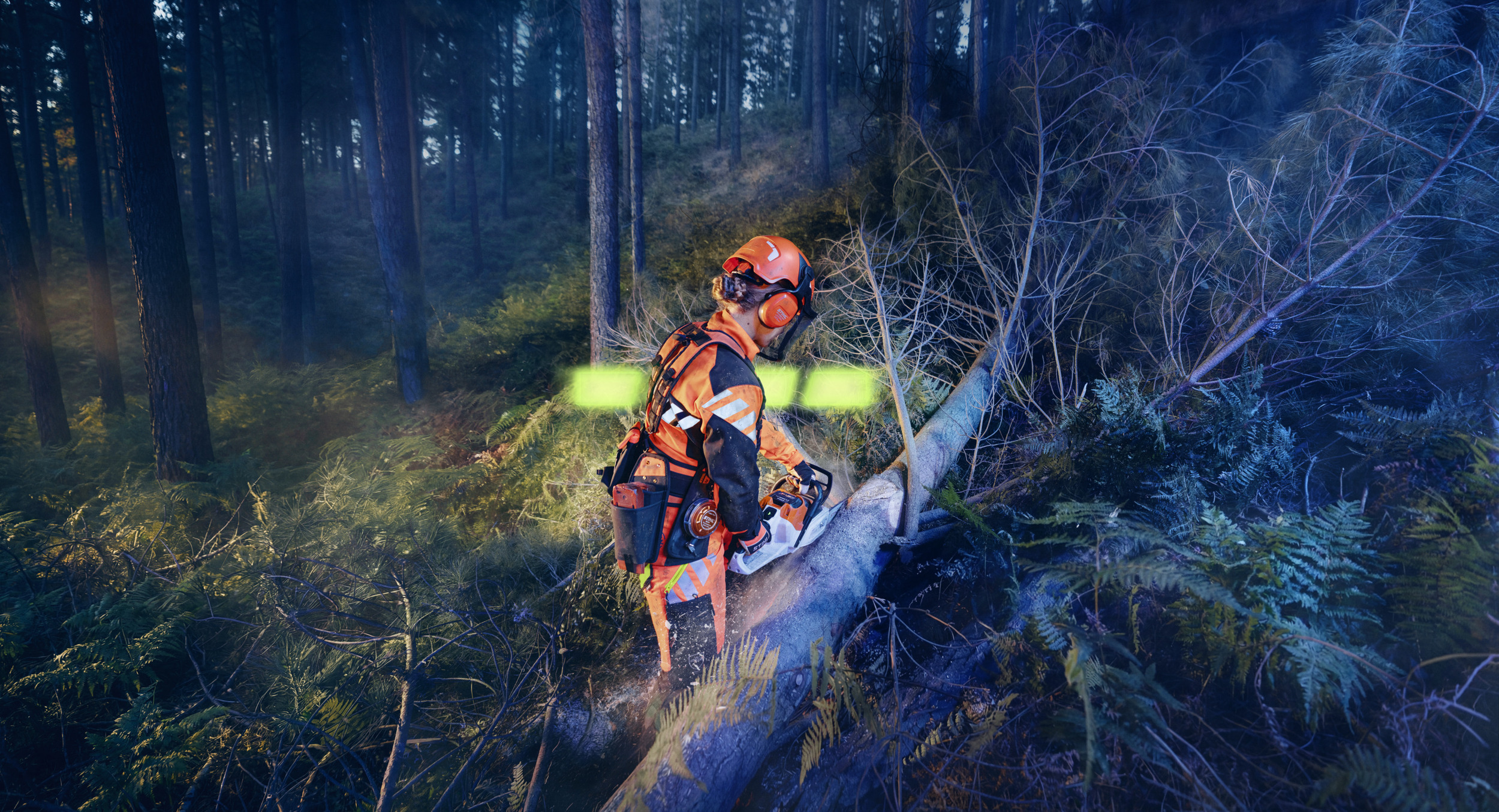 STIHL ALLPRO во употреба со пилата MSA 260 при работа во шумарството