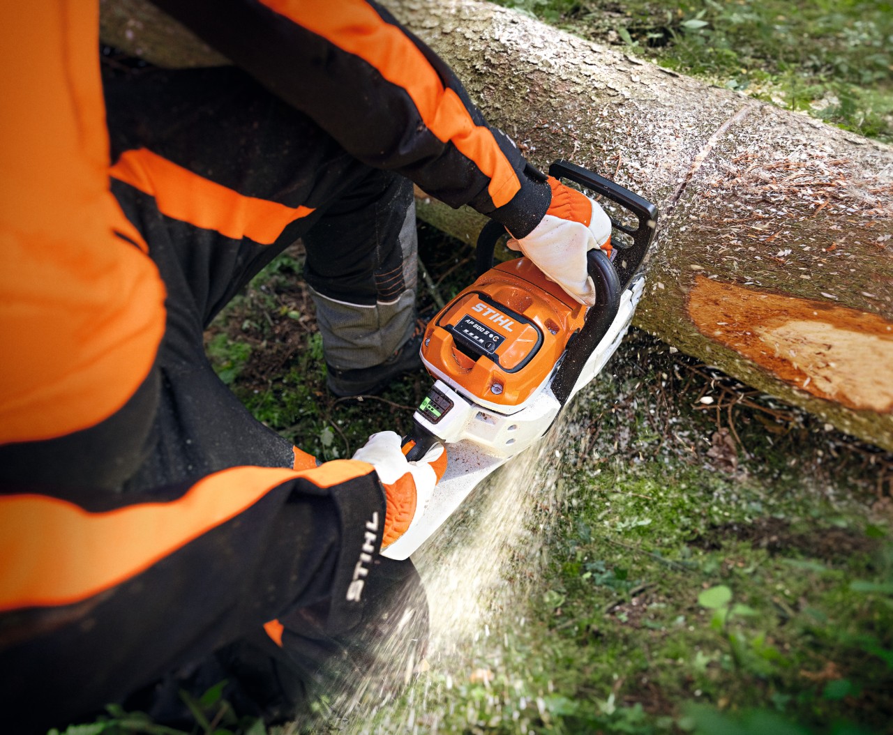 Крупен план на некој што сече низ стебло на дрво со батериската моторна пила STIHL MSA 300