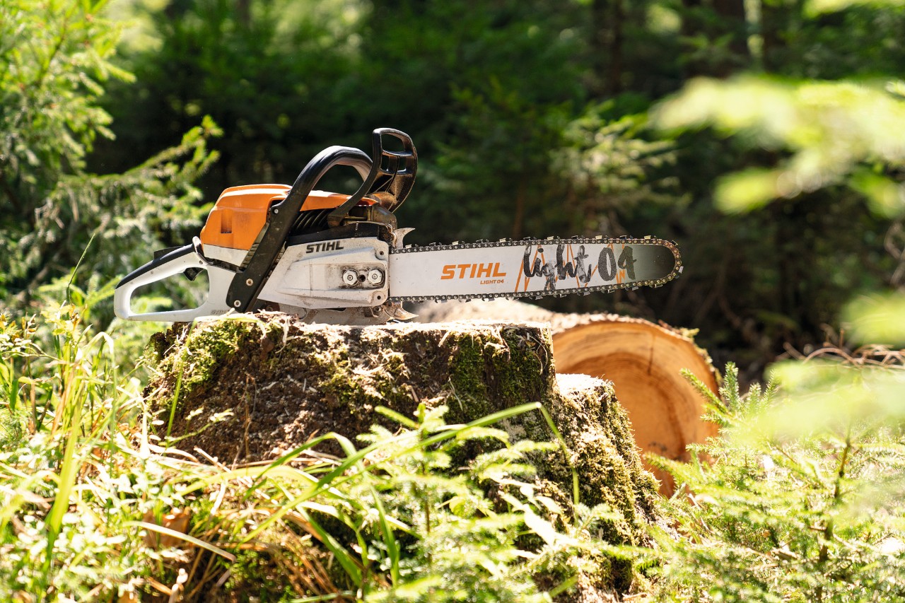 Моторна пила STIHL MS 261 CM на трупец од дрво во шумата