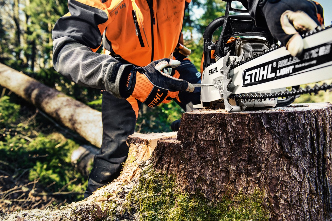 Бензинска моторна пила STIHL MS 461 на стебло на дрво додека лице во заштитна облека го одвртува капакот на запчаникот на ланецот